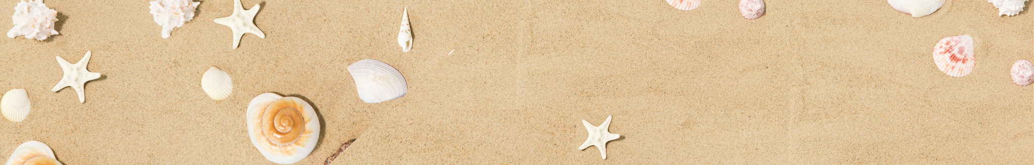 🐚 BEACH VIBES 🐚