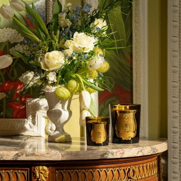 Trudon: Royal Candle Art Since 1643 ✨