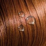 Parfums pour les Cheveux