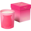 Classic Scented Candle Summer Haze (Limited Edition) - 270 g