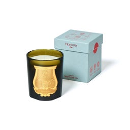 Trudon Classic Scented Candle Ernesto - 270 g