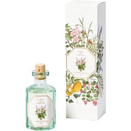 Carrière Frères Diffuseur 