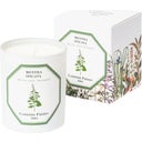Carrière Frères Bougie Menthe Verte - 185 g