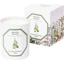 Carrière Frères Bougie Menthe Verte - 185 g