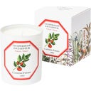 Carrière Frères Bougie Tomate - 185 g