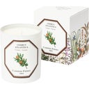 Carrière Frères Bougie Cèdre - 185 g