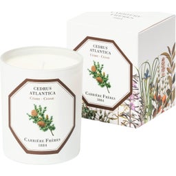 Carrière Frères Bougie Cèdre - 185 g