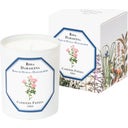 Carrière Frères Bougie Rose de Damas - 185 g