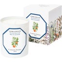 Carrière Frères Bougie Fleur d'Oranger - 185 g