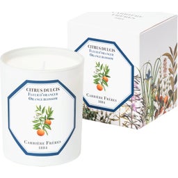 Carrière Frères Bougie Fleur d'Oranger - 185 g