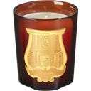 Trudon Classic Scented Candle Cire - 270 г