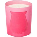 Classic Scented Candle Summer Haze (Limited Edition) - 270 г