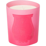 Classic Scented Candle Summer Haze (Limited Edition)