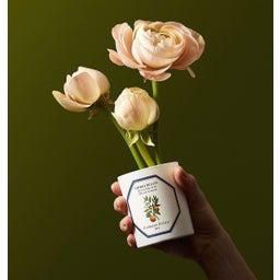 Carrière Frères Bougie Fleur d'Oranger - 185 g