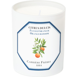 Carrière Frères Bougie Fleur d'Oranger - 185 g