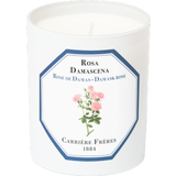 Carrière Frères Bougie Rose de Damas