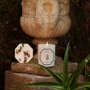 Carrière Frères Bougie Rose de Damas - 185 g
