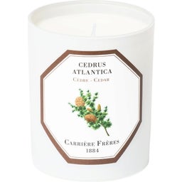Carrière Frères Bougie Cèdre - 185 g