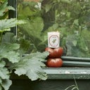 Carrière Frères Bougie Tomate - 185 g