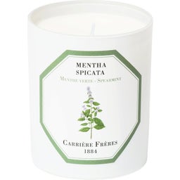 Carrière Frères Bougie Menthe Verte - 185 g
