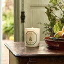 Carrière Frères Bougie Menthe Verte - 185 g