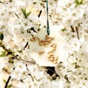 Carrière Frères Palets Botaniques Fleur d'Oranger - 1 kit