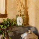 Carrière Frères Diffuseur Menthe Verte - 200 ml