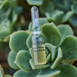 Aloe Vera Blossom Age Protect Ampoule Treatment - 10 x 1 ml