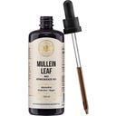 Organic Mullein Extract 10:1 (Mullein Leaf) - 100 ml