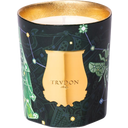 Trudon Limited Scented Candle Fir - 1 Stk