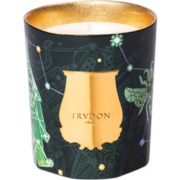 Trudon Limited Scented Candle Fir - 1 Stk