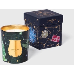 Trudon Limited Scented Candle Fir - 1 Stk