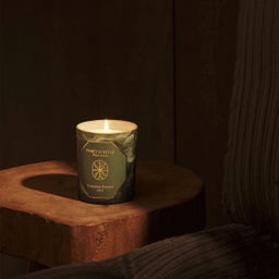 Carrière Frères Scented Candle Winter Forest - 1 Stk