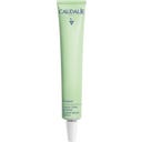 Caudalie Vinopure Stop Boutons Salicylique - 15 ml