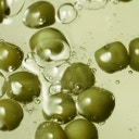 Organic Seeds Green Peas Shampoo Scalp Care - 450 ml