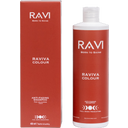 RAVI Born to Shine Raviva Colour Anti-Fading Shampoo - 400 ml