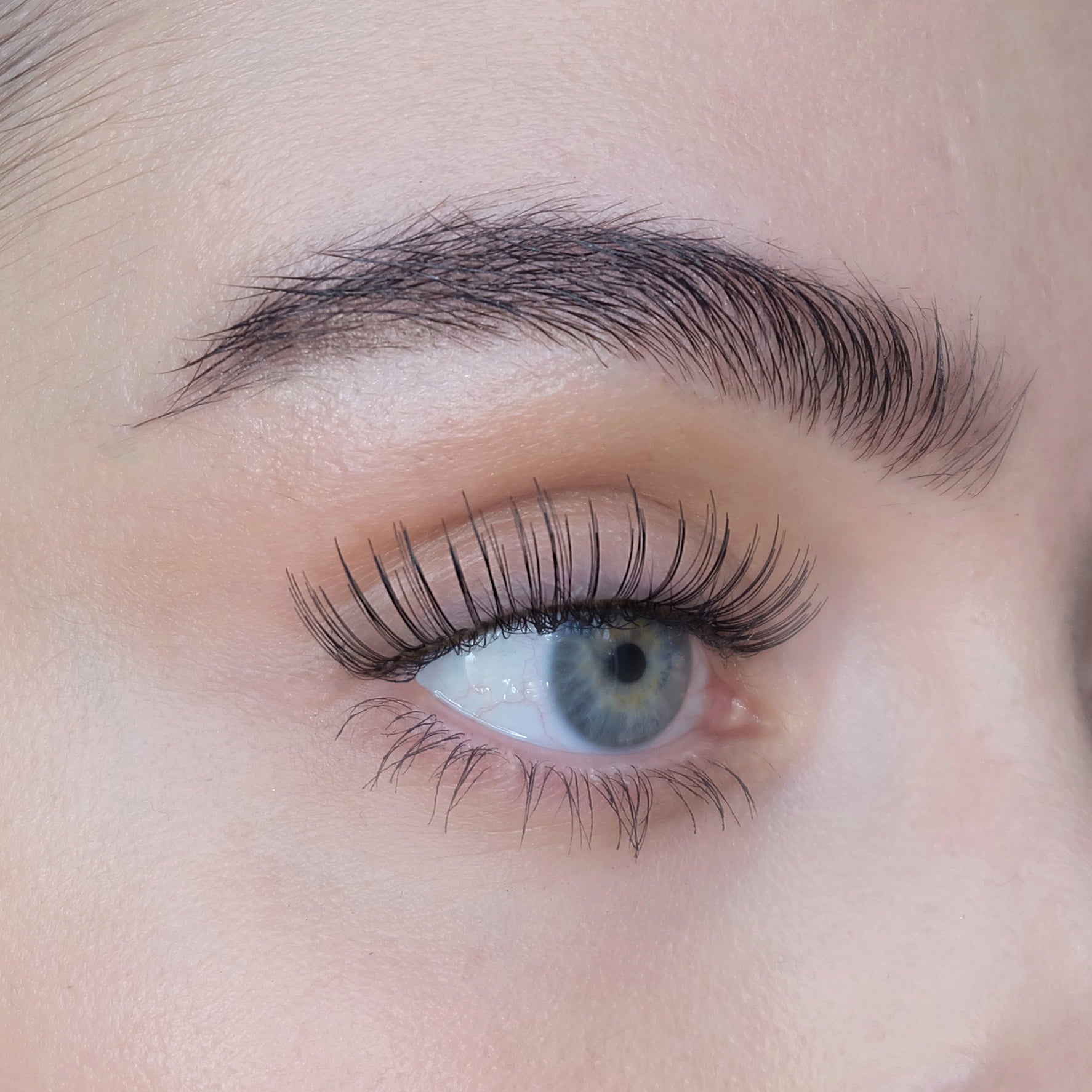 SWEED Nar Professional Lashes - 1 Pc