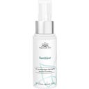 Faces of Fey Sanitizer - 30 ml
