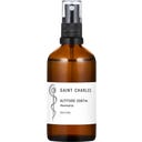 SAINT CHARLES Raumspray Altitude 2087m - 100 ml