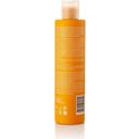 Hyalurvedic Gold Hair šampon za sijočo barvo - 200 ml