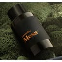 Commodity Moss Bold Parfum - 100 ml