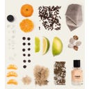 Fugazzi Sugardaddy Extrait de Parfum - 100 ml