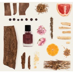 Fugazzi Goudh Extrait de Parfum - 100 мл