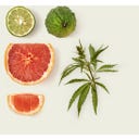 Fugazzi Nocologne Extrait de Parfum - 100 ml