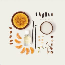 Fugazzi Vanilla Haze Eau de Parfum - 8 ml