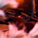 BORNTOSTANDOUT® Black Karak Extrait de Parfum - 50 ml