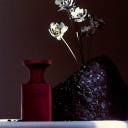 BORNTOSTANDOUT® Black Creme Extrait de Parfum - 50 ml