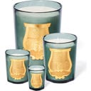 Trudon Bougie Classique Figuerie - 270 g