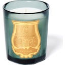 Trudon Classic Scented Candle Figuerie - 70 g