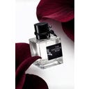 SHIR The Enchanted Rose - 50 ml
